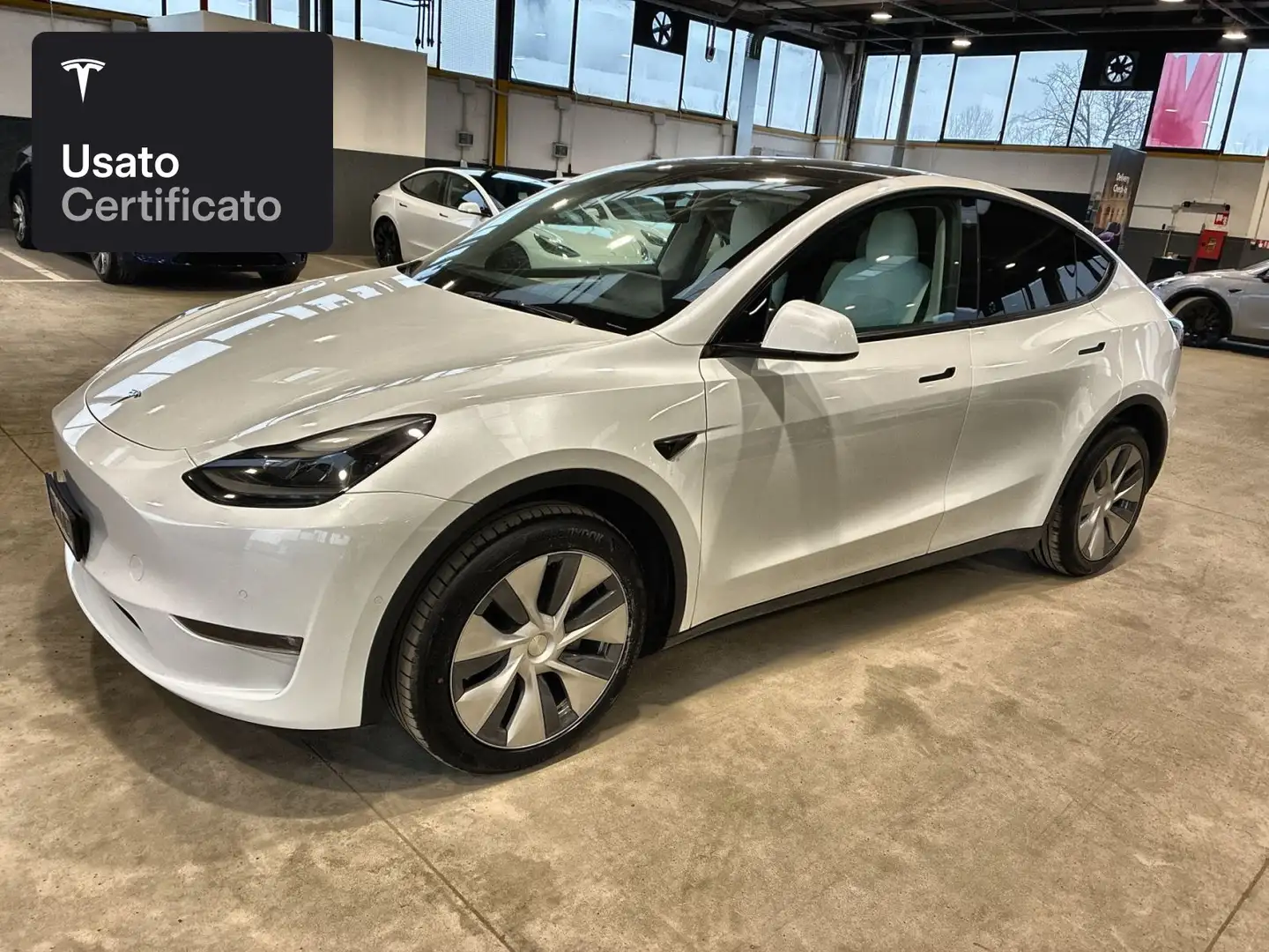 Tesla Model Y Long Range AWD Bianco - 2