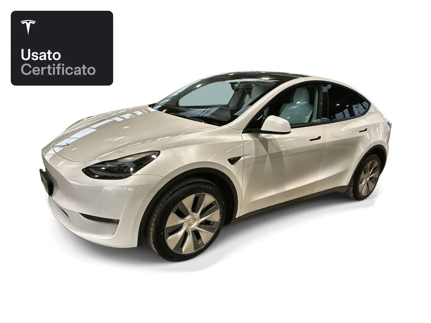 Tesla Model Y Long Range AWD Bianco - 1