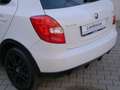 Skoda Fabia 1.2 TSI 86CV 5p. Monte-Carlo Bianco - thumbnail 13
