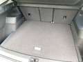 Volkswagen Tiguan Friends TDI 4MOTION DSG Grau - thumbnail 11