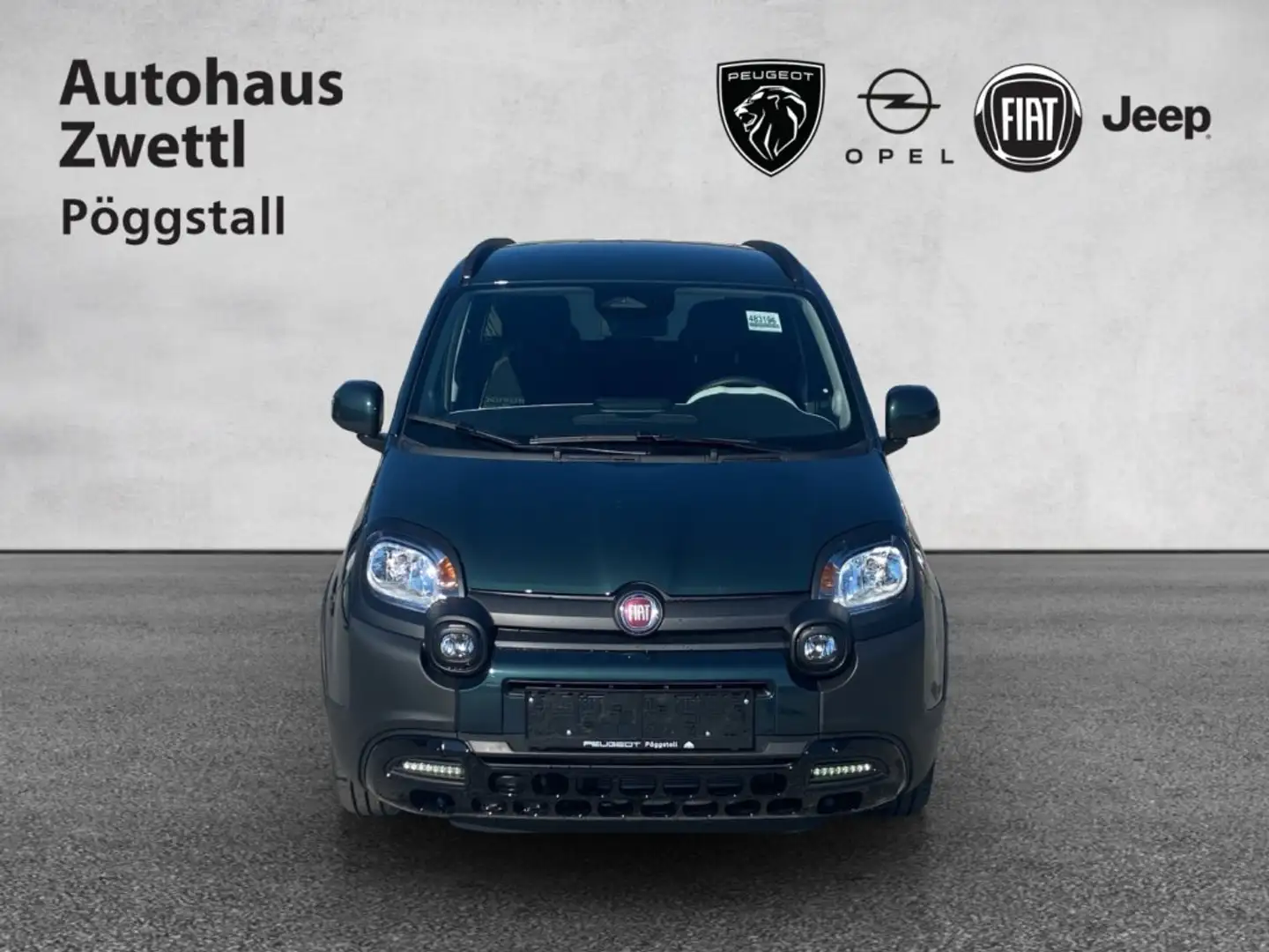 Fiat Panda Pandina PT 70 Grün - 2