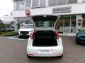Fiat Punto Evo Punto Evo 1.2 5 porte S&S Active Weiß - thumbnail 17