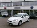 Fiat Punto Evo Punto Evo 1.2 5 porte S&S Active Weiß - thumbnail 1