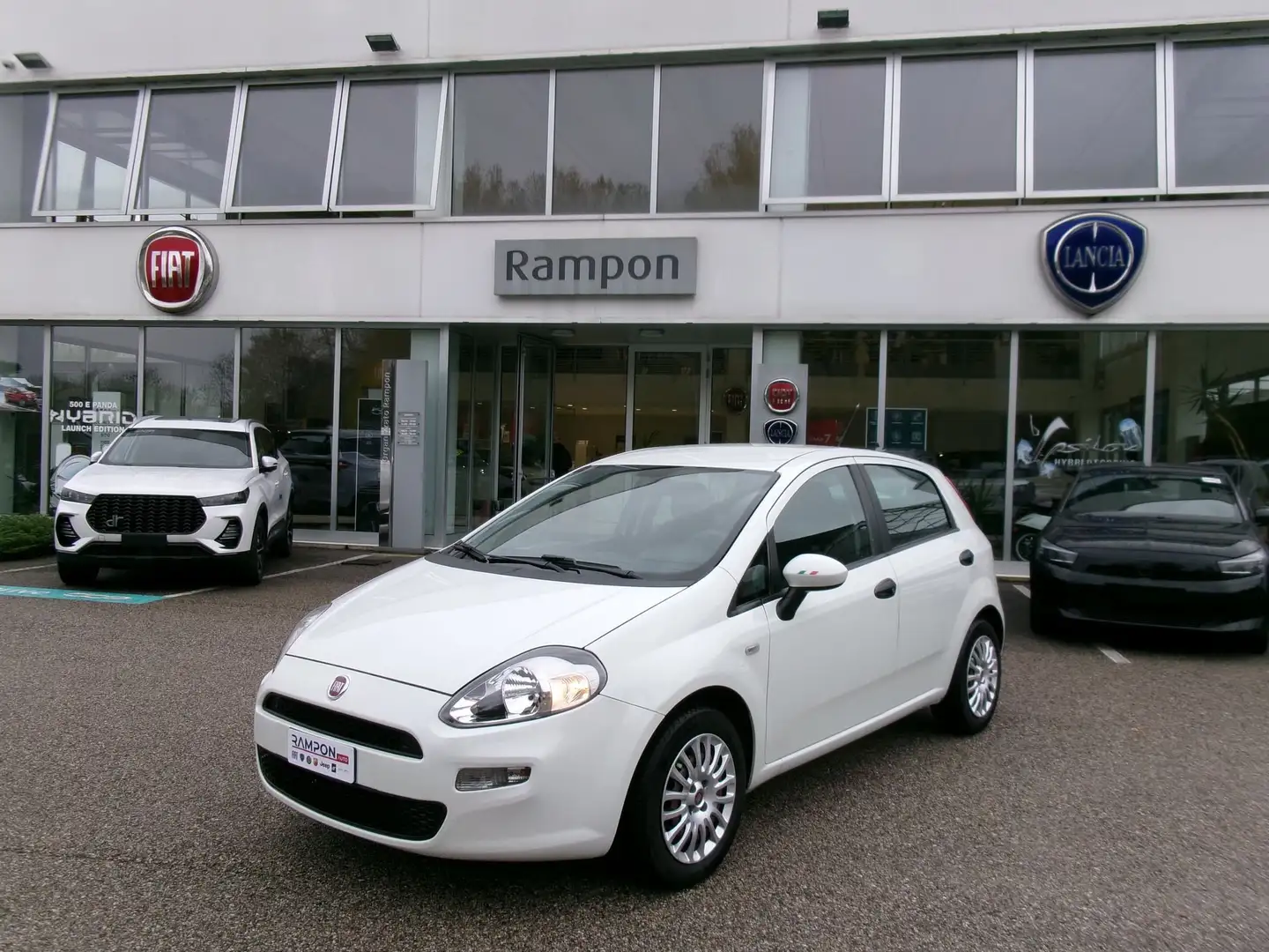 Fiat Punto Evo Punto Evo 1.2 5 porte S&S Active Weiß - 1
