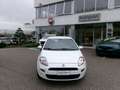 Fiat Punto Evo Punto Evo 1.2 5 porte S&S Active Weiß - thumbnail 7