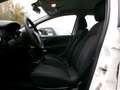 Fiat Punto Evo Punto Evo 1.2 5 porte S&S Active Weiß - thumbnail 11