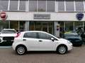 Fiat Punto Evo Punto Evo 1.2 5 porte S&S Active Weiß - thumbnail 2