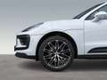 Porsche Macan BOSE Surround-View Abstandstempomat LED Weiß - thumbnail 9