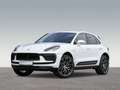 Porsche Macan BOSE Surround-View Abstandstempomat LED Weiß - thumbnail 1
