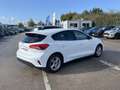Ford Focus 1.5 EcoBlue 95ch Trend Business Blanc - thumbnail 5