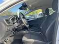Ford Focus 1.5 EcoBlue 95ch Trend Business Blanc - thumbnail 10