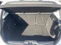 Ford Focus 1.5 EcoBlue 95ch Trend Business Blanc - thumbnail 13