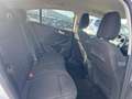 Ford Focus 1.5 EcoBlue 95ch Trend Business Blanc - thumbnail 12