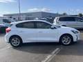 Ford Focus 1.5 EcoBlue 95ch Trend Business Blanc - thumbnail 4