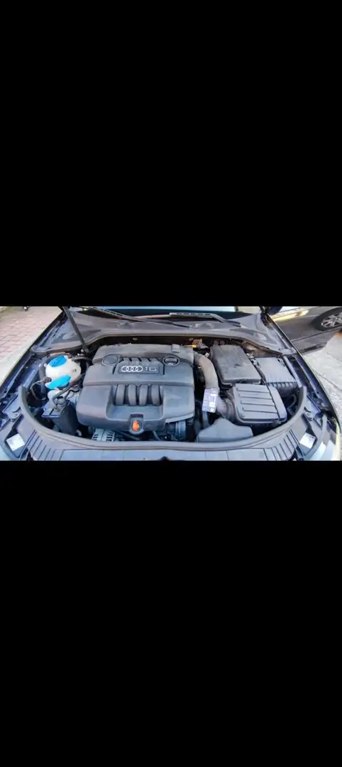 Audi A3 1.6 Ambition Schwarz - 2