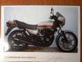 Kawasaki GPZ 750 Altın - thumbnail 8