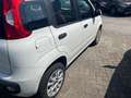 Fiat Panda 0.9 TwinAir Turbo Natural Power Easy Bianco - thumbnail 9