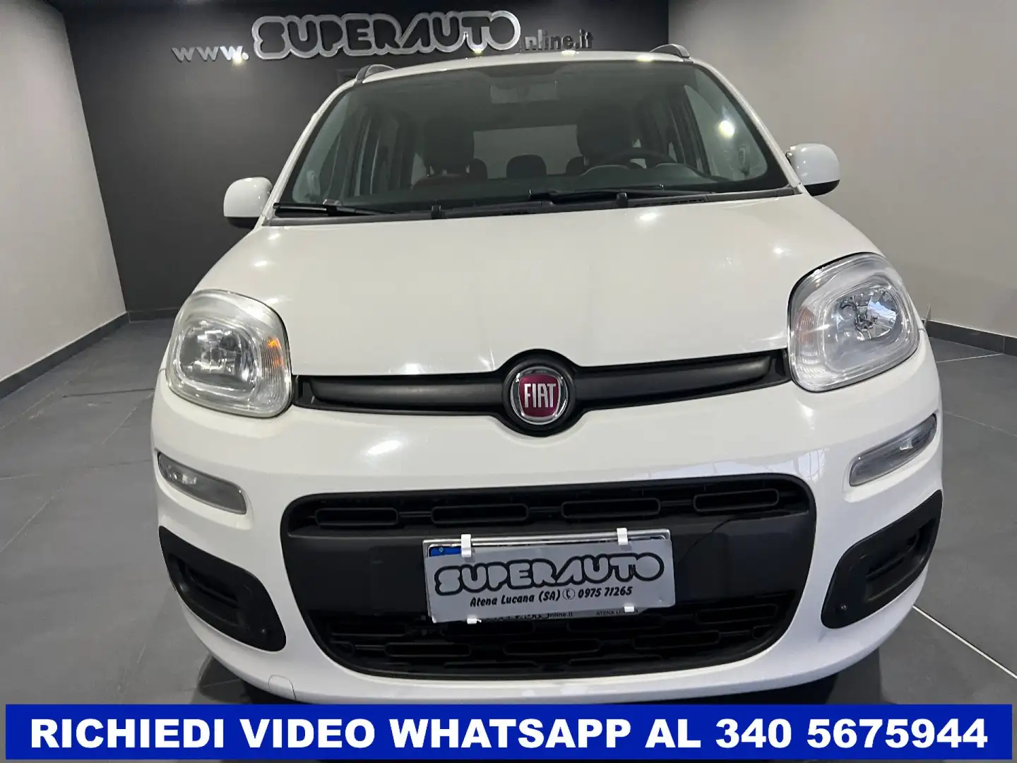 Fiat New Panda 1.3 MJT S&S Easy Alb - 2