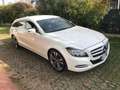 Mercedes-Benz CLS 250 Shooting Brake cdi be auto Blanc - thumbnail 4