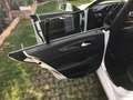 Mercedes-Benz CLS 250 Shooting Brake cdi be auto Alb - thumbnail 12