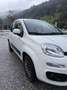 Fiat Panda 1,2 70 Lounge - thumbnail 1