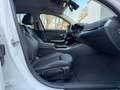 BMW 320 320 d xDrive Sport Line|ERSTB.|ACC|SHADOW|SPUR|CAM Weiß - thumbnail 24