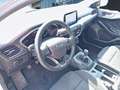 Ford Focus 1.0 Ecoboost MHEV Trend+ 125 Gris - thumbnail 7