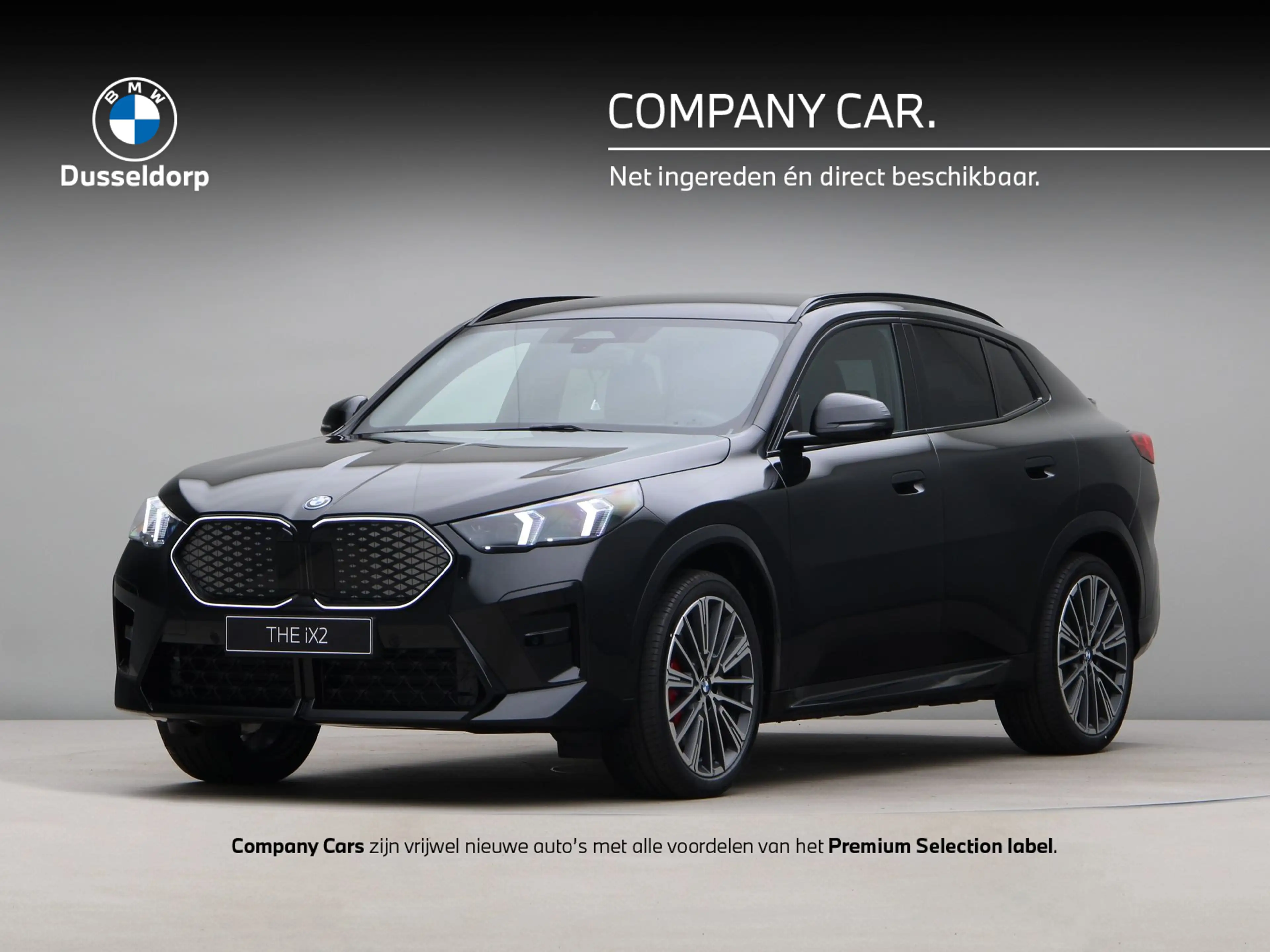 BMW iX2 xDrive30 M Sportpakket Pro - 20 " - Trekhaak