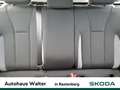 Skoda Kamiq 1.0 TSI Selection FACELIFT LED KAMERA Grau - thumbnail 12