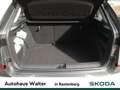 Skoda Kamiq 1.0 TSI Selection FACELIFT LED KAMERA Grau - thumbnail 15