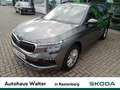 Skoda Kamiq 1.0 TSI Selection FACELIFT LED KAMERA Grau - thumbnail 1