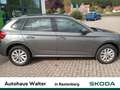 Skoda Kamiq 1.0 TSI Selection FACELIFT LED KAMERA Grau - thumbnail 14