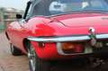 Jaguar E-Type 4.2 S2 Roadster Rot - thumbnail 11