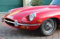 Jaguar E-Type 4.2 S2 Roadster Rot - thumbnail 2