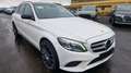 Mercedes-Benz C 300 T d 4Matic Avantgarde Kamera Multibeam ACC Blanc - thumbnail 3