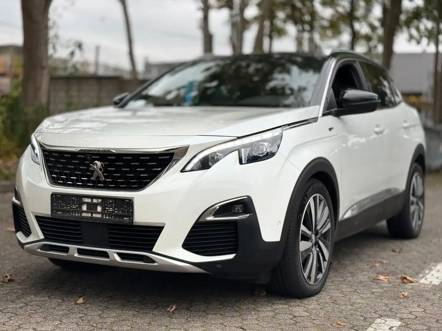 Peugeot 3008 GT BT*DIGITALESTACHO*ALCANTARA*MASSAGE*EU6D Weiß - 1