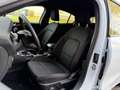 Ford Focus 1.0 Eco 125pk Hybrid ST Line Navi groot, Trekhaak, Blanc - thumbnail 9