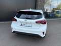 Ford Focus 1.0 Eco 125pk Hybrid ST Line Navi groot, Trekhaak, Blanc - thumbnail 5