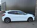 Ford Focus 1.0 Eco 125pk Hybrid ST Line Navi groot, Trekhaak, Blanc - thumbnail 7