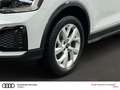 Audi Q2 35 TDI S-tronic LED NAV AHK ACC LEDER advanced Weiß - thumbnail 10
