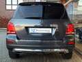 Mercedes-Benz GLK 350 4M Pano OffRoad Kam Memory AHK Standheiz Grau - thumbnail 19
