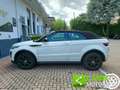 Land Rover Range Rover Evoque 2.0 TD4 150 CV Convertibile HSE Dynamic Blanco - thumbnail 8