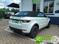 Land Rover Range Rover Evoque 2.0 TD4 150 CV Convertibile HSE Dynamic Blanco - thumbnail 5
