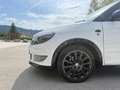 Skoda Fabia Monte Carlo+ 1,6 TDI Weiß - thumbnail 8