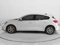 Ford Focus 1.5 Ecoblue Trend+ 120 Blanco - thumbnail 6