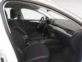 Ford Focus 1.5 Ecoblue Trend+ 120 Blanco - thumbnail 12
