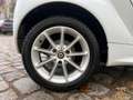 smart forTwo passion Micro Hybrid Drive +KLIMA+PANO+ Weiß - thumbnail 19