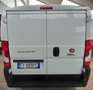 Fiat Ducato 33 2.3 MJT 120CV PC-TB Furgone Bianco - thumbnail 3