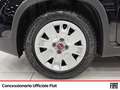 Fiat Panda 1.0 firefly hybrid city life s&s 70cv Noir - thumbnail 14