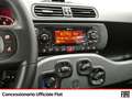 Fiat Panda 1.0 firefly hybrid city life s&s 70cv Noir - thumbnail 11